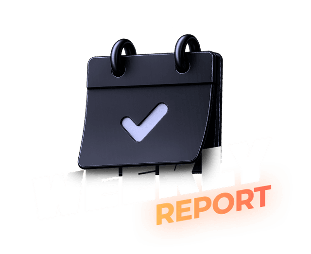 WEEKLY REPORT